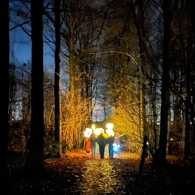 Lys i Mørket - Kunst laver lysinstallation i skoven.