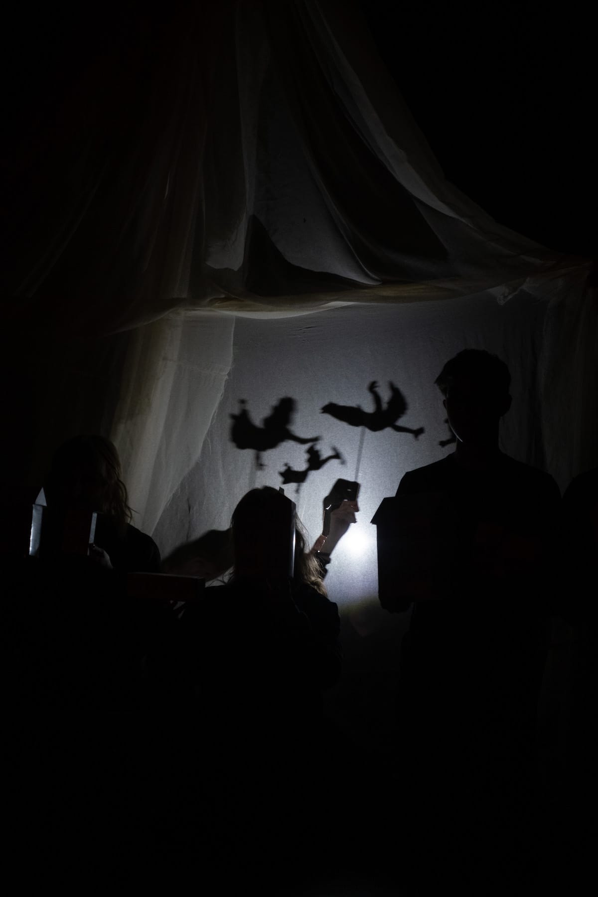 skyggespil-peter-pan